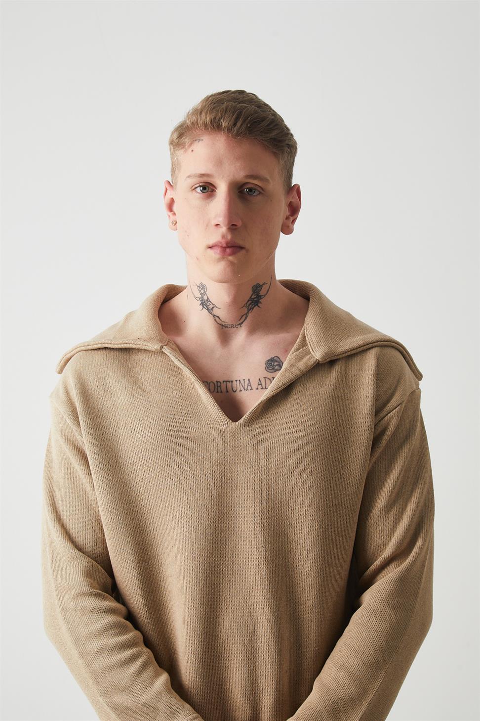 color-card:beige 